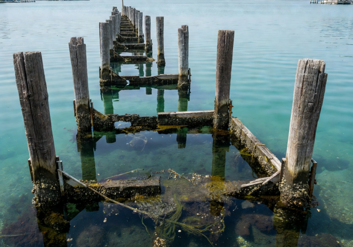 Wooden dock pilings extending into calm turquoise water at a marina, showing submerged infrastructure in need of cleaning
